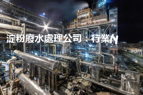 淀粉廢水處理公司：行業(yè)領(lǐng)袖巴洛仕的環(huán)保新篇章？